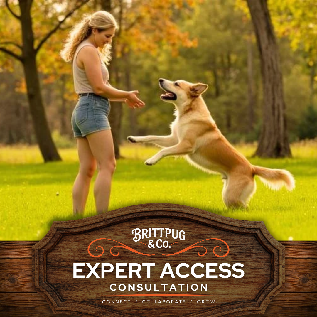 When You Need More Than a Google Search: Introducing BrittPug&Co. Expert Access
