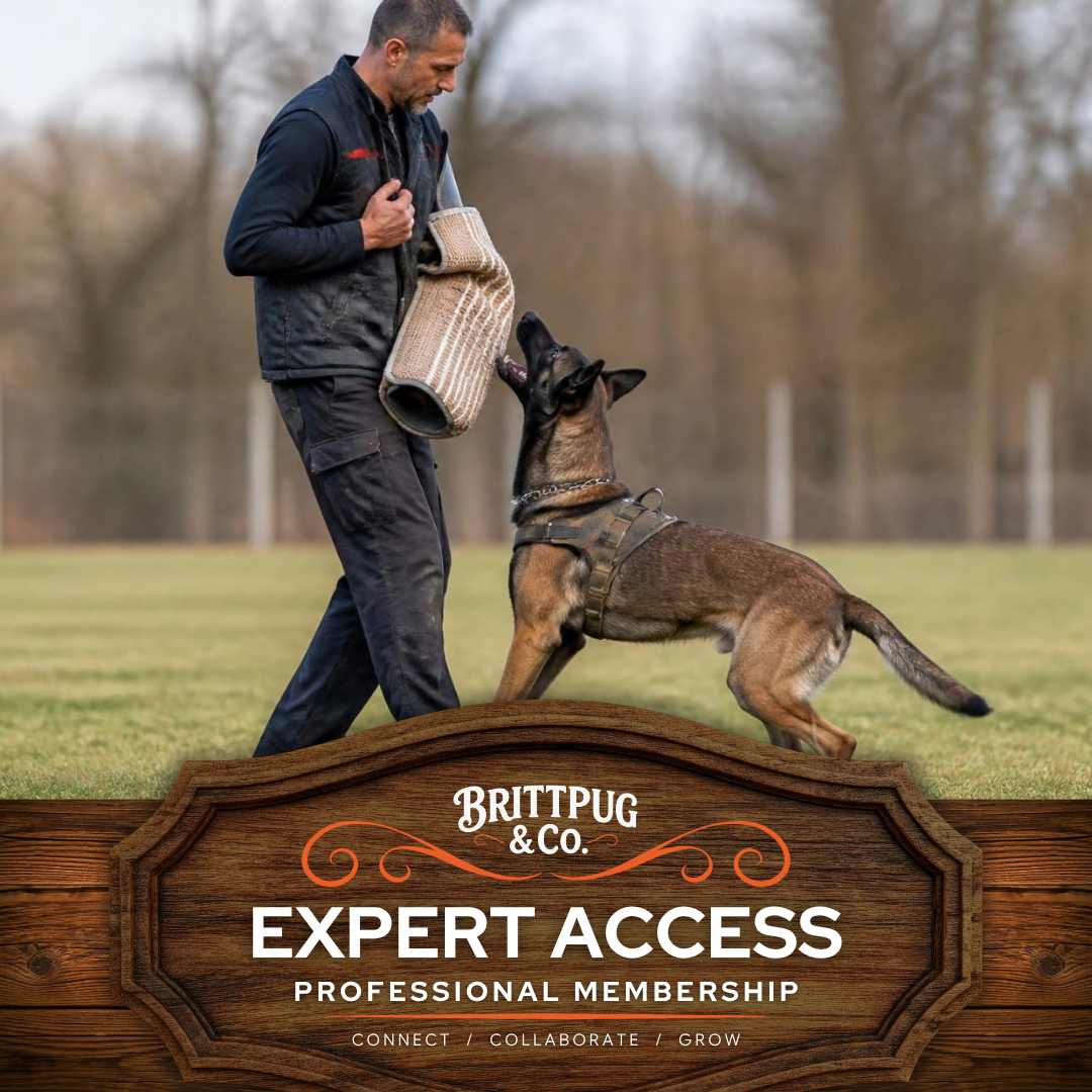 Expert Access: Professional Membership